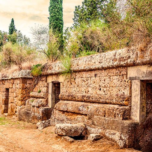 tdp-tarquinia